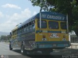 Transporte Colectivo Palo Negro 050