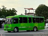 Colectivo Los Andes 556 por Leonardo Saturno