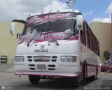 AR - Rosa Mstica de Cagua C.A. 37, por Andrs Ascanio
