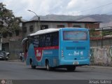 TransMiranda 091 Intercar Celta Limousine Higer Bus KLQ6896 (Cummins 230HP)