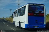 Unin Tchira 028