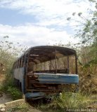 En Chiveras Abandonados Recuperacin 2901 Mercedes-Benz Integral O-302 Mercedes-Benz O-355