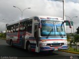 Expresos Pegamar 0010 Encava E-NT6000 Encava Cummins Grande