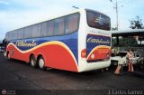 Expresos Occidente 164