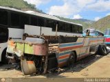 En Chiveras Abandonados Recuperacin 