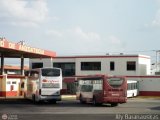 Garajes Paradas y Terminales El-Tigre