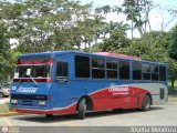 Transporte Bonanza 0030