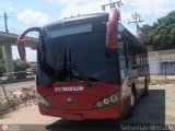 FA - Transfalcn