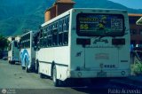 A.C. de Transporte Encarnaci�n 171 por Pablo Acevedo