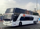 Expresos Occidente 294