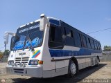 Expresos Pegamar 1055