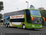 Expreso Tigre Iguaz (Va Bariloche) 6152, por Alfredo Montes de Oca