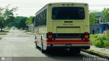 Transporte Unido (VAL - MCY - CCS - SFP) 007, por Pablo Acevedo