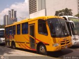 Transporte Clavellino 096