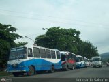 Garajes Paradas y Terminales El-Vigia