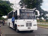 L�nea La Pastora 556AA0U por Aaron Rodr�guez