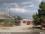 Garajes Paradas y Terminales Turmero