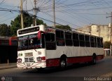 A.C. de Transporte Santa Ana 28