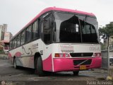 Yuruani 006-A Marcopolo Allegro GV Volvo B58