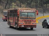 Colectivos Altagracia 06, por Pablo Acevedo