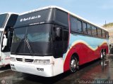 Transporte Los Siervos de Dios 1007, por Sebastin Mercado