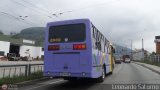 Lnea Los Andes S.C. 064