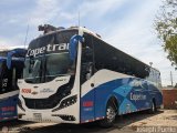 Copetran 8038
