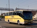 Particular 955