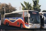 Expresos Occidente 181