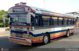 Colectivo San Rafael (El Mojn) 15