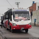 TA - A.C. Autos por puesto Lnea Palmira 008