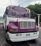 Colectivos Transporte Libertad C.A. 13