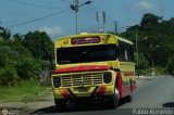 Expresos Juregui 074 Wayne Lifeguard Ford B-750