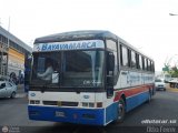 Expresos Bayavamarca 105