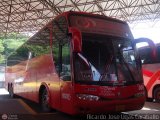 Sistema Integral de Transporte Superficial S.A 009, por Ricardo Jose Ugas Caraballo