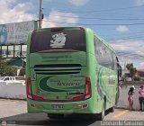 Trans Vencedores 15 Artesanal o Desconocido Sin Nombre Hino AK500