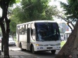 Universitarios y Escolares  Carroceras Urea Draco Iveco Tector 170E22T EuroCargo