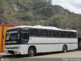 A.C. de Transporte Encarnacin 306