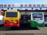 Garajes Paradas y Terminales Carora Encava E-NT610 Extra-Largo Encava Isuzu Serie 600