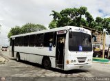 CA - Asoc. Coop. de Transporte La Arenosa R.L. 002 Fanabus KingWay Iveco Tector 170E22T EuroCargo