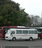 Uso Oficial Dicofanb Toyota Coaster Toyota Dyna