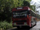 Colectivos Transporte Maracay C.A. 29, por Jesus Valero