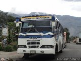 Lnea Los Caracoles (San Juan - Mrida) 15