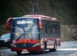 Unin Chara A.C. 117 Yutong ZK6896HGA Yutong Integral ZK6896HGA