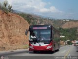 Bus Mrida 12