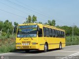 Transporte Choferes Unidos 20