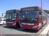 Garajes Paradas y Terminales Maracaibo Yutong ZK6118HGA GNC Cummins ISLgeEV 320Hp