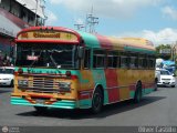 Cooperativa Canaima 33
