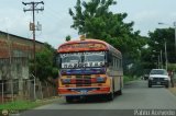 Colectivos Altagracia 04