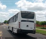 Transporte Nueva Generacin 0002, por Miguel Pino